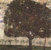Gustav Klimt Apple Tree II (mk20) oil on canvas